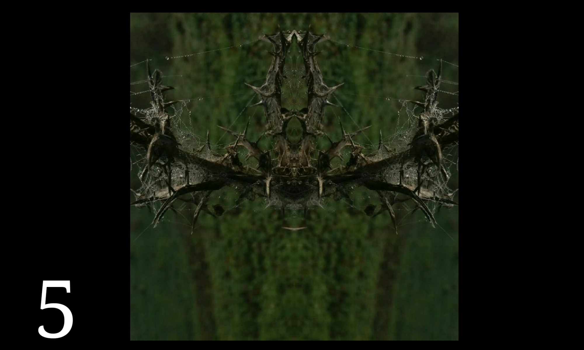 Spiegelwelt Postkarte – Bild 6